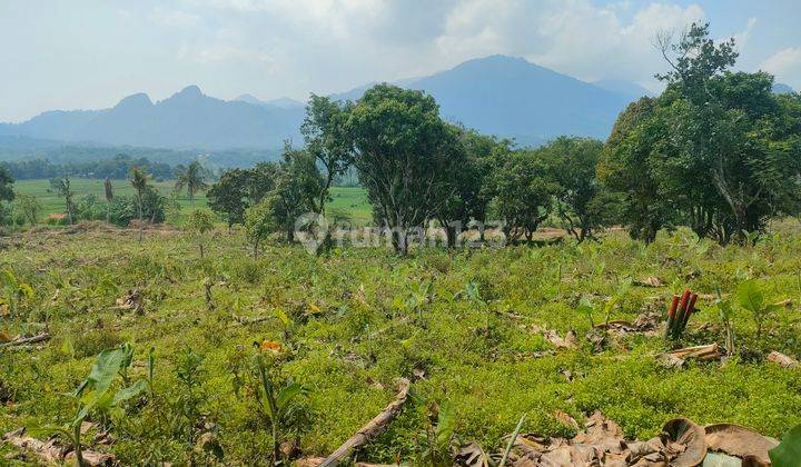 Tanah Kavling Murah Nempel Jalan Propinsi  2