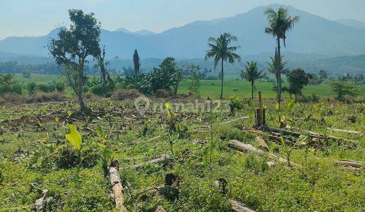 Tanah kavling siap bangun jln di cor +view gunung  1