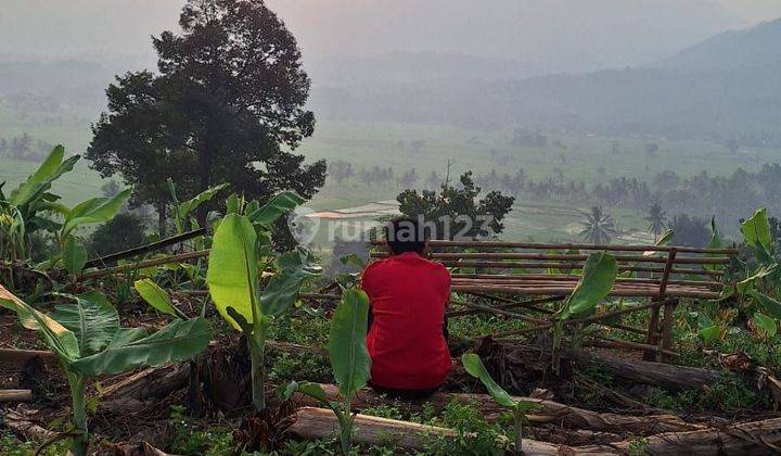 Tanah kavling murah lokasi nempel jalan propinsi  2