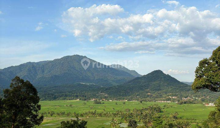 Tanah kavling murah  strategis nempel jalan propinsi view indah  1