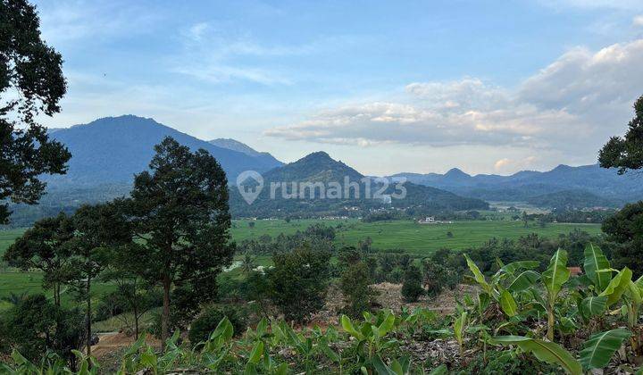 Tanah murah di Bogor lokasi stategis nempel jalan raya  1