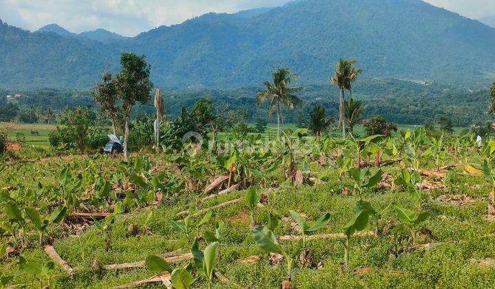 Tanah kavling strategis view gunung dan sawah harga murah  2