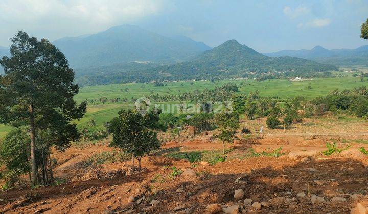 Tanah komersil siap bangun view gunung dan sawah  1