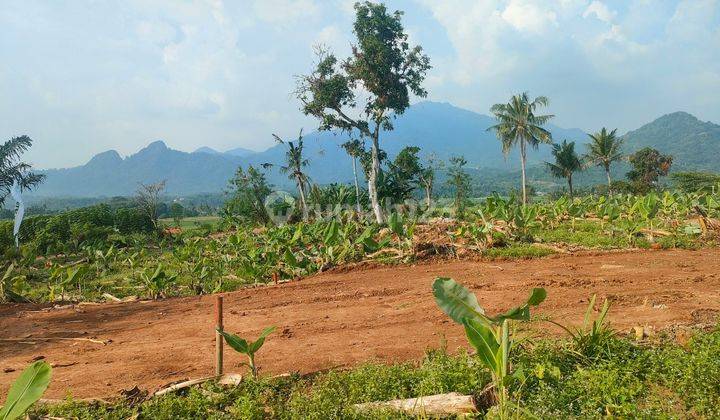 Tanah komersil siap bangun view gunung dan sawah  2