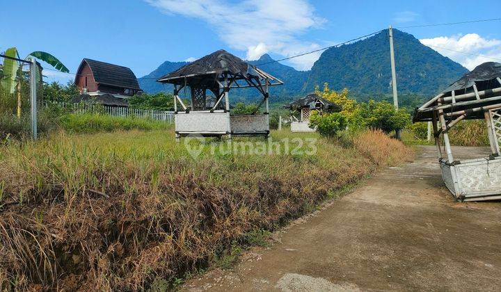 Dijual tanah kavling nuansa alam Jonggol view gunung hanjawong  1