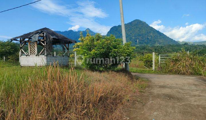 Dijual tanah kavling nuansa alam Jonggol view gunung hanjawong  2