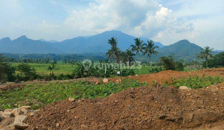 Tanah kavling Nuansa alam Goldenview cocok untuk villa permanen  1