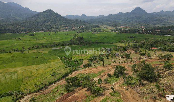 Tanah murah nuansa alam goldenview cocok untuk villa 1