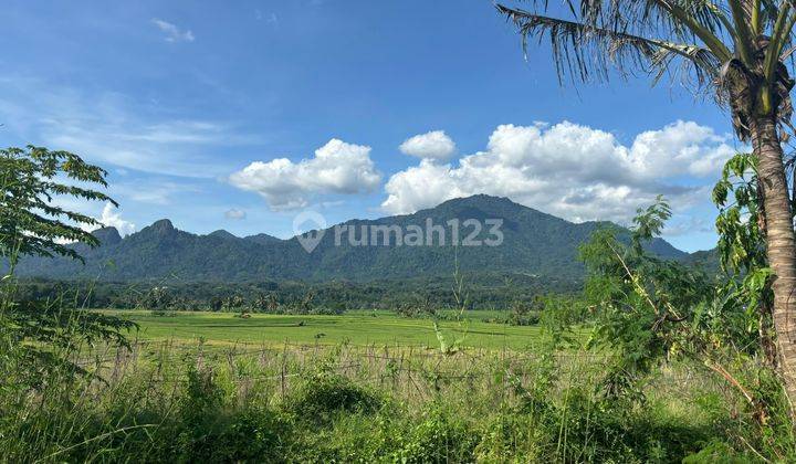 Tanah kavling murah bisa di bangun lokasi strategis  2