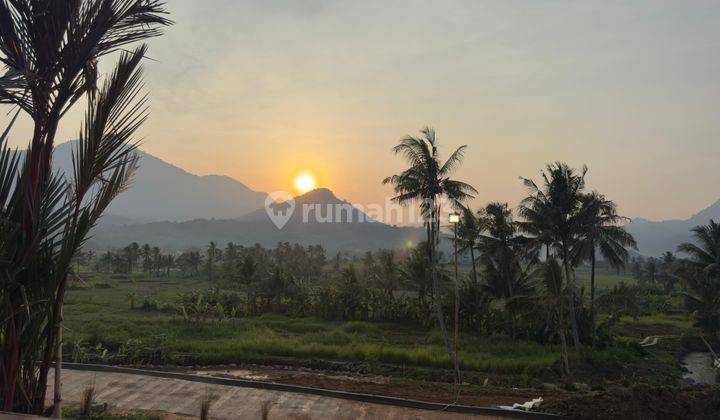 Tanah Murah Lokasi Strategis Nempel Jalan Raya Propinsi  2