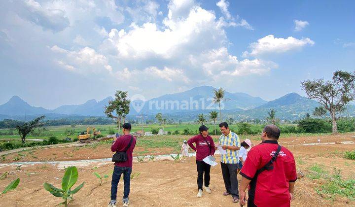 Tanah Murah Lokasi Strategis Nempel Jalan Raya Propinsi  1