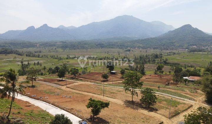 Dijual Tanah Murah Lokasi Strategis Nempel Jalan Raya Propinsi  1