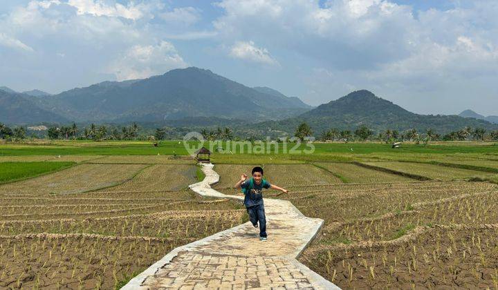 Dijual Tanah Murah Lokasi Starategis Dekat Jabodetabek 2