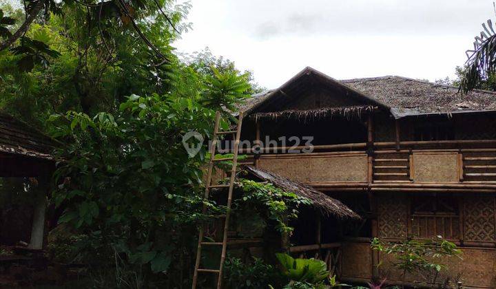 Rumah Asri dan luas, dijual cepat di Ciangsana, Cibubur 2