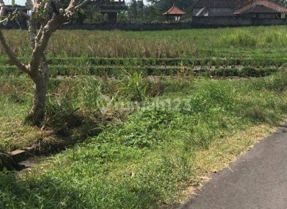 66 Are Land for Sale in Tabanan 10 mins to Soka BU Beach  2