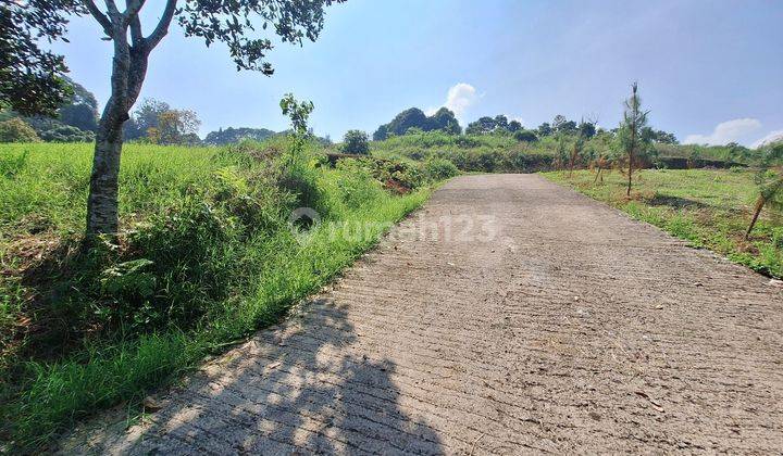 Tanah murah view gunung puncak bogor surat SHM 1