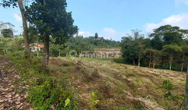 Tanah Murah Puncak Bogor SHM Luas 875 m² 2