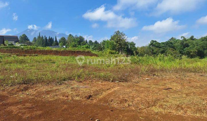 Tanah di puncak bogor cocok untuk rumah hunian  2