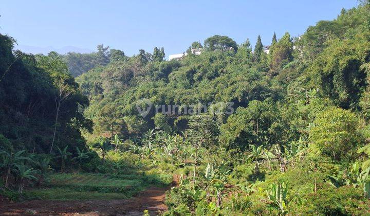 Tanah 500 M² Shm Murah Cocok Untuk Villa Di Puncak Bogor  2