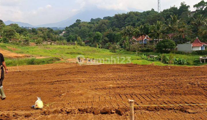 Tanah 250 m² SHM di Puncak Bogor, Dekat Wisata Taman Safari 1