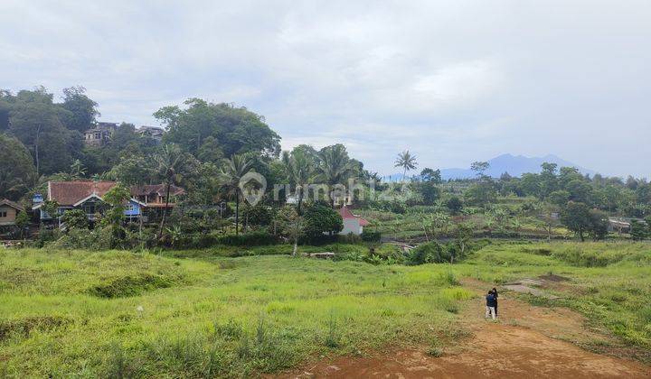 jual Tanah puncak bogor 500 m² SHM, privat 1