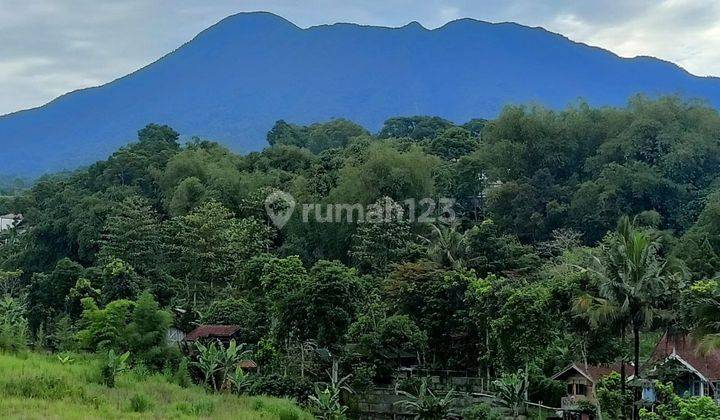 Jual Tanah Puncak Bogor Luas 500M2 Legalitas SHM 1