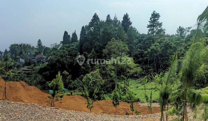 Tanah Cocok Untuk Vila Di Megamendung Puncak Bogor 2