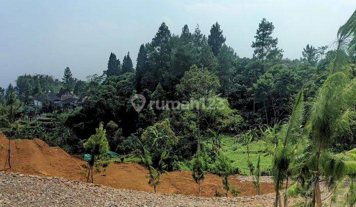 Di Jual Tanah di Megamendung Puncak Bogor 1