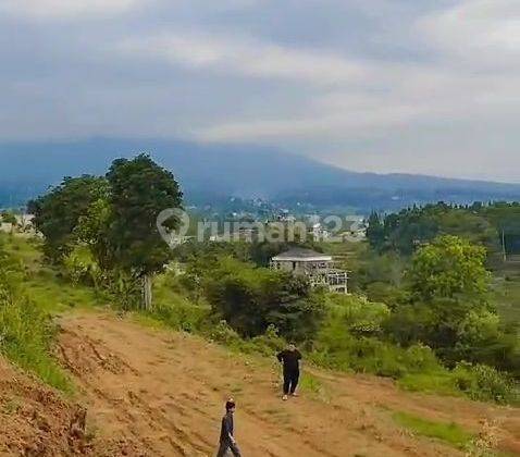 Tanah di Puncak Bogor Balio Sultan Warudoyong 2