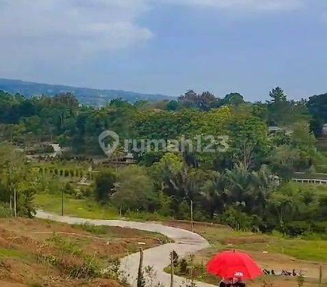 Tanah di puncak legalitas SHM terbit IMB zona kuning 2