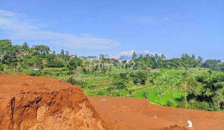 Tanah Murah Kebun Untuk Bangun Vila Di Area Puncak Bogor 2