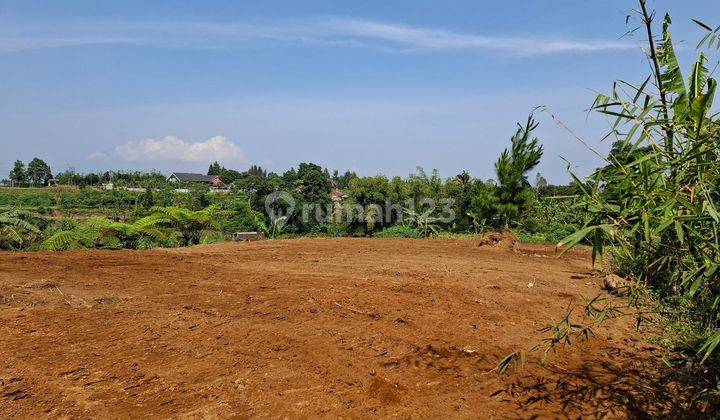 Tanah Murah SHM 215 m² Megamendung Puncak Bogor 2