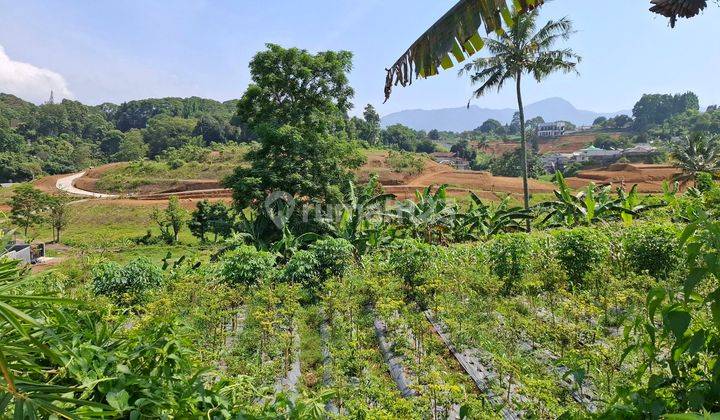 Tanah SHM 1000 m² Megamendung Puncak Bogor 1