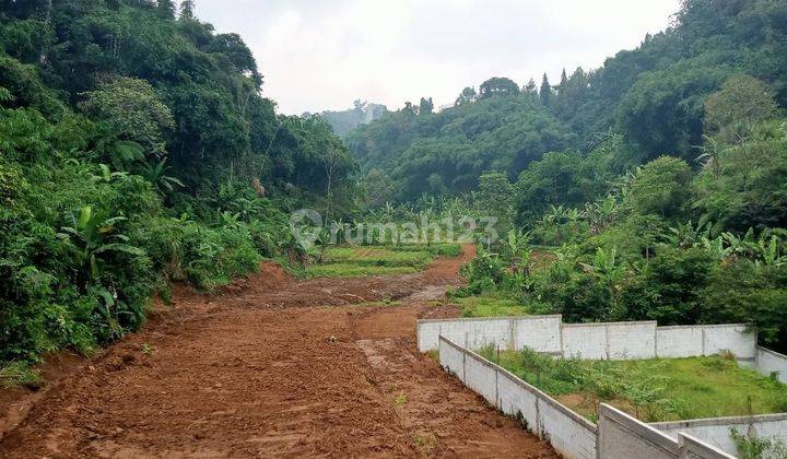 Tanah Di jual di Desa Kuta Megamendung Puncak Bogor 1