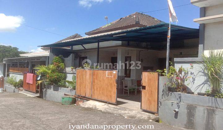 Id:F-879 Dijual Rumah Kerambitan Tabanan Bali Dekat Kediri 2