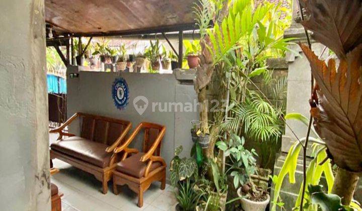 Id:F-787 Dijual Rumah Pedungan Denpasar Bali Dekat Seminyak 1