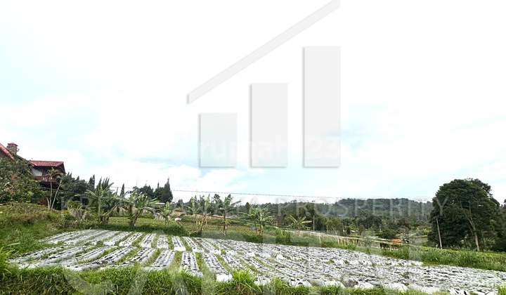 Kavling Lembang Asri Kavling Lembang Asri