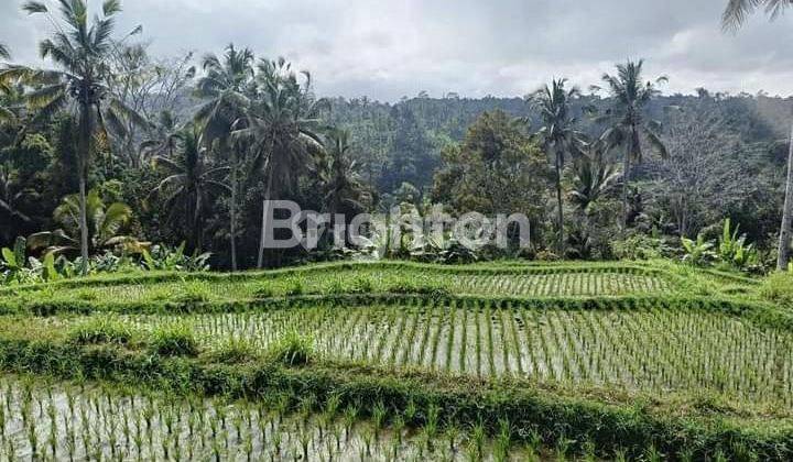 TANAH PAYANGAN GIANYAR BALI 1