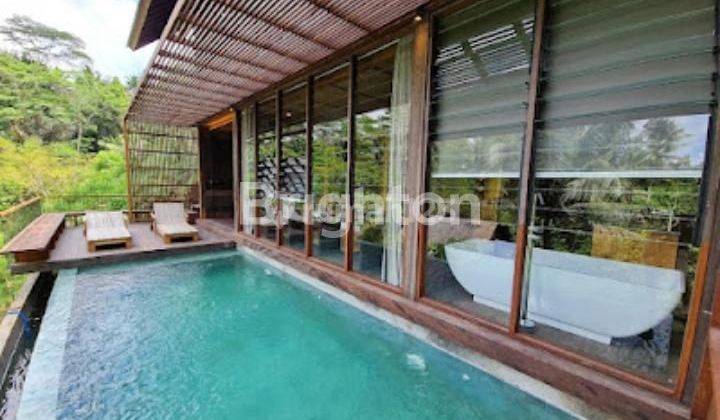 LUXURY VILLA UBUD BALI 2