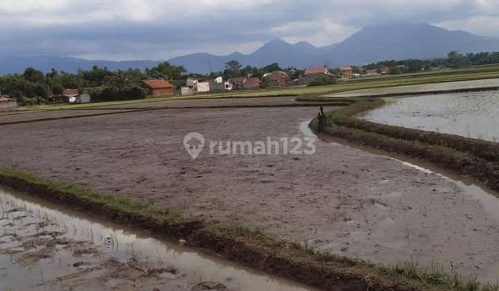 Tanah Sawah Produktif Pinggir Jalan Daerah Ciparay 2