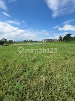 Tanah Potensial 1,5 Hektar di Jalan Raya Rancacatang Sapan Tegalluar Kec. Bojongsoang Tanah Potensial 1,5 Hektar di Jalan Raya Rancacatang Sapan Tegalluar Kec. Bojongsoang