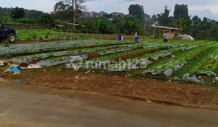 Tanah Di Daerah Sariwangi Mekarwangi Parongpong Tanah Di Daerah Sariwangi Mekarwangi Parongpong