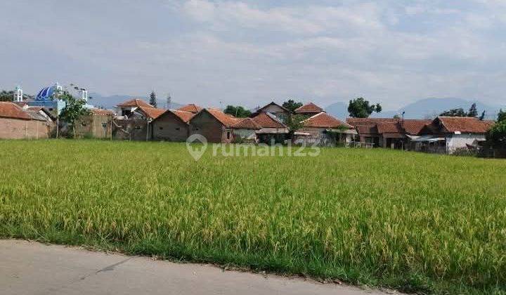 Tanah Sawah Di Ciparay Kabupaten Bandung 1