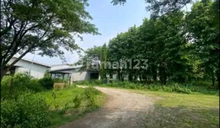Dijual Lahan Strategis Di Subang