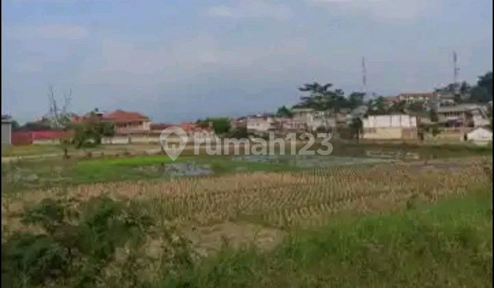 Dijual Tanah Sawah Di Mainroad Soreang Bandung Dijual Tanah Sawah Di Mainroad Soreang Bandung