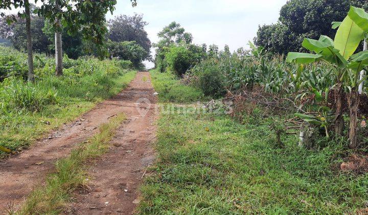 Tanah 8 Hektar Di Jatinangor Dekat Kampus IKOPIN Jatinangor 1