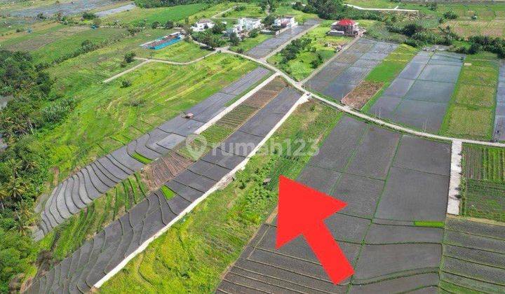 Land in Kedungu Beach, Tabanan 423 m² 2