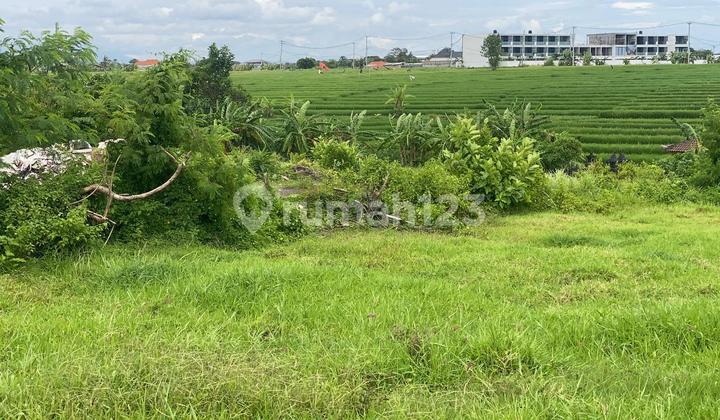 Tanah Dikontrakan di Pantai Lyma Pererenan 647M2 - Af618 Tanah Dikontrakan di Pantai Lyma Pererenan 647M2 - Af618