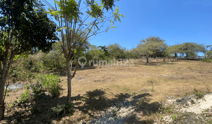 41 Are of Land for Sale, Jalan Ungasan 1