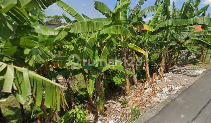 DIJUAL UNTUK DISEWA TANAH 600 M2 UNTUK DISEWAKAN DI CANGGU, PADONAN - AF555